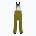 Men's ski trousers Descente Roscoe olive green