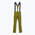 Men's ski trousers Descente Roscoe olive green 2