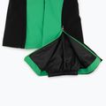 Ski trousers Descente Velche 19 bio green 5