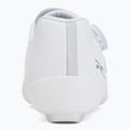 Men's road shoes Shimano SH-RC703 white 6