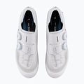 Men's road shoes Shimano SH-RC703 white 6