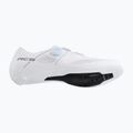 Men's road shoes Shimano SH-RC503 white 6