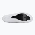 Men's road shoes Shimano SH-RC503 white 4