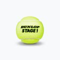 Dunlop Stage 1 children's tennis balls 3 pcs green 601338 3