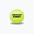 Dunlop Stage 1 children's tennis balls 60 pcs green 601342 2