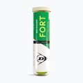 Dunlop Fort All Court Ts 4B 2025 tennis balls 2