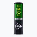 Dunlop Fort All Court Ts 4B 2025 tennis balls 2