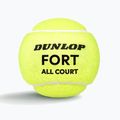 Dunlop Fort All Court Ts 4B 2025 tennis balls 3