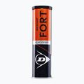 Dunlop Fort Clay Court 4B 2025 tennis balls 2