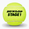 Tennis balls Dunlop Stage 1 3 pack green 3