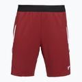 Men's shorts VICTOR R-60200 biking red