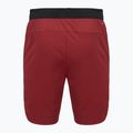 Men's shorts VICTOR R-60200 biking red 2