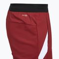 Men's shorts VICTOR R-60200 biking red 4