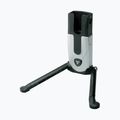 Topeak Flash Stand Fat bike stand black T-TW007
