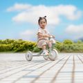 Three-wheeled balance bike Globber Learning Trike 2in1 Plus Ecologic pistachio 11