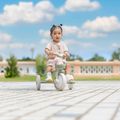Three-wheeled balance bike Globber Learning Trike 2in1 Plus Ecologic pistachio 13