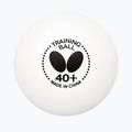 Butterfly table tennis training balls 6 pcs white. 2