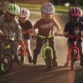 Kellys Kite 12 cross-country bike green 65409 6