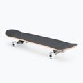 Classic skateboard Tony Hawk SS 180 Complete rotten 4