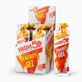 HIGH5 Energy Gel 40 g mango