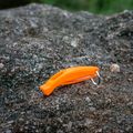 Whistle Lifesystems Echo orange 3