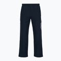 Men's training trousers Mizuno Takeshi Track navy