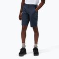 Men's shorts Berghaus Navigator 2.0 midnight