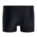 Men's Speedo Tech Logo swim boxers black 68-11354F130 2