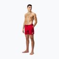 Men's Speedo Boom Logo 16" swim shorts red 8-124336446 2