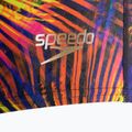 Men's Speedo Allover 14cm Brief swim briefs black 68-02587F336 3