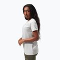 Women's Berghaus Linear Landscape t-shirt harbour mist 4