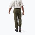 Men's trousers Berghaus Prism forest night 3