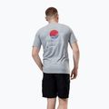 Berghaus men's t-shirt Snowdon SS Tee 2.0 grey marl bci 3