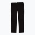 Men's softshell trousers Berghaus Trail-Explorer black 7