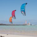 Ozone Zephyr V7 kite kite yellow ZV7K17YW 6