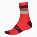 Men's Endura Bandwidth cycling socks pomegranate 2