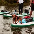 SUP board Red Paddle Co Voyager 12'6" green 17623 13