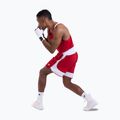 Men's training shorts Boxraw Stevenson V2 red/white 3