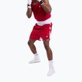 Men's training shorts Boxraw Stevenson V2 red/white 4