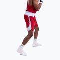 Men's training shorts Boxraw Stevenson V2 red/white 6