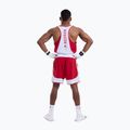 Men's T-shirt Boxraw Stevenson V2 Tank red/white 3