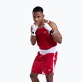 Men's T-shirt Boxraw Stevenson V2 Tank red/white 4