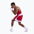 Men's T-shirt Boxraw Stevenson V2 Tank red/white 9