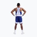 Men's training shorts Boxraw Stevenson V2 blue/white 3