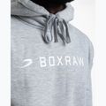 Men's sweatshirt Boxraw A.B.C. Hoodie grey 8