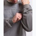 Men's sweatshirt Boxraw East Street Sweatshirt distressed grey 8