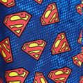 Zoggs Superman blue children's swimming shorts 2