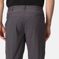 Men's trekking trousers REGATTA Highton seal grey 5