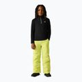Children's fleece sweatshirt Dare 2b Freehand Fleece black 3