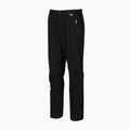 Men's trekking trousers REGATTA Highton Stretch black 5